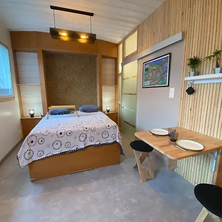 Appartement Quartier Salins 5mn Gare Routiere